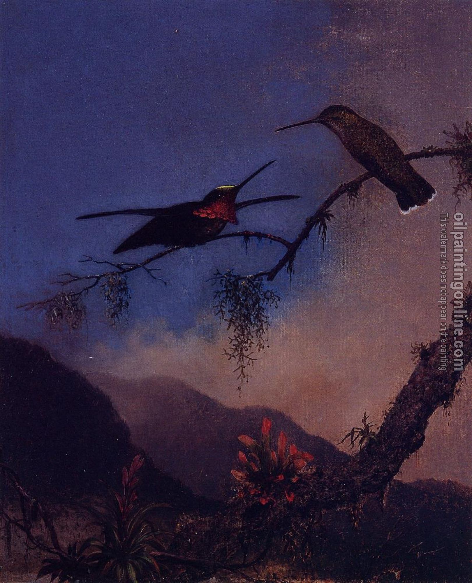 Heade, Martin Johnson - Strip, Breasted Starthroat